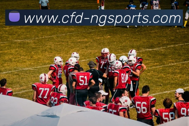 ng娱乐官网发展历程